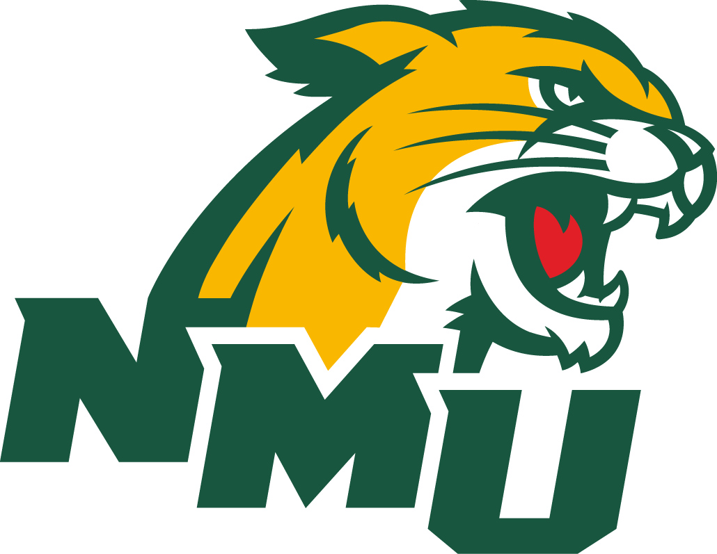 Northern Michigan Wildcats 2016-Pres Secondary Logo v2 iron on transfers for clothing